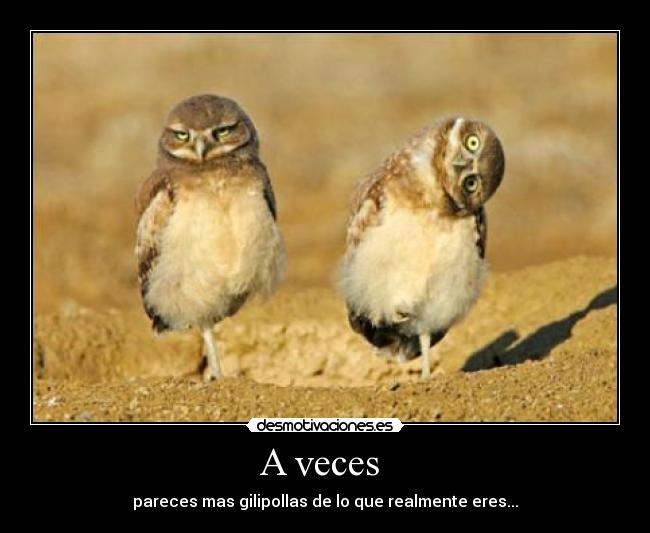 A veces -