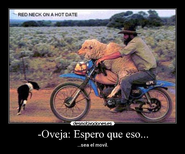 -Oveja: Espero que eso... - ...sea el movil.