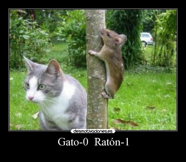 Gato-0 Ratón-1 -