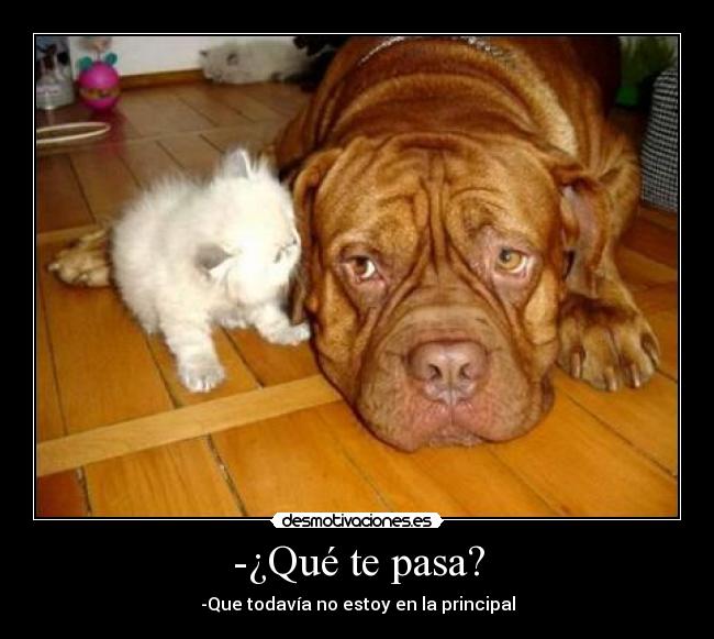 carteles fsffsfsf desmotivaciones