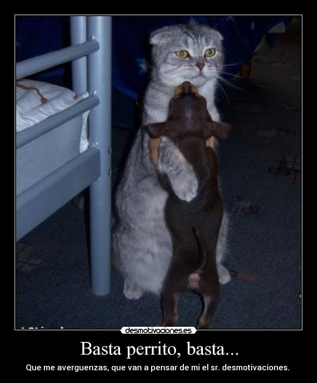 Basta perrito, basta... - Que me averguenzas, que van a pensar de mi el sr. desmotivaciones.