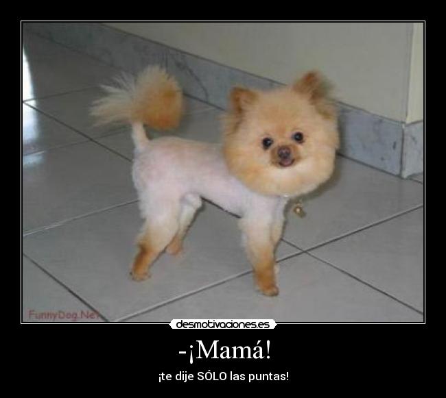 -¡Mamá! - ¡te dije SÓLO las puntas!