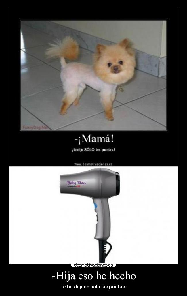-Hija eso he hecho - te he dejado solo las puntas.