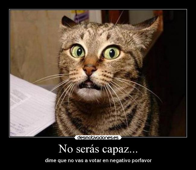 No serás capaz... - dime que no vas a votar en negativo porfavor