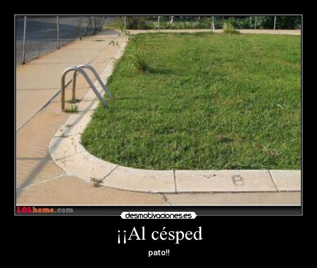 ¡¡Al césped - pato!!