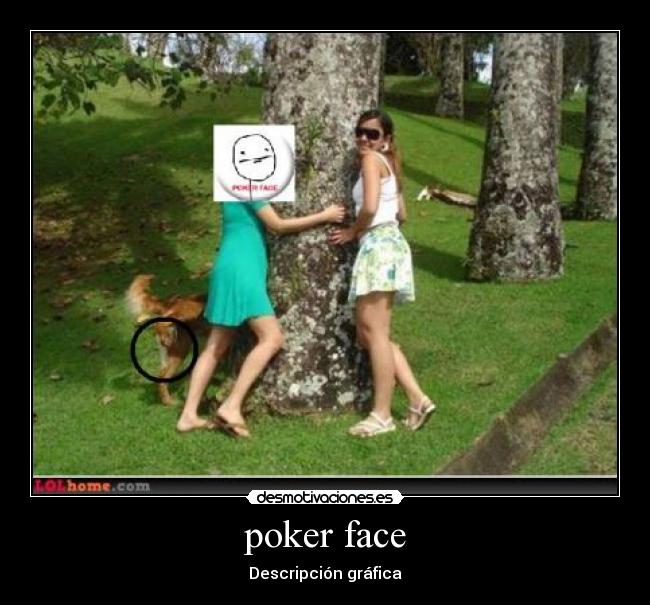 poker face - Descripción gráfica