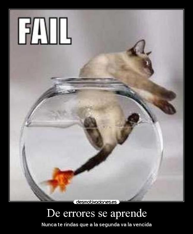 De errores se aprende - Nunca te rindas que a la segunda va la vencida