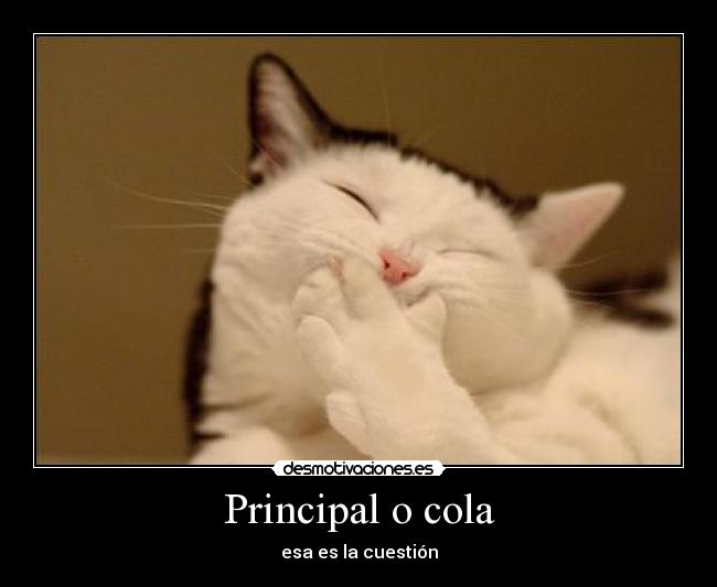 carteles gatop desmotivaciones