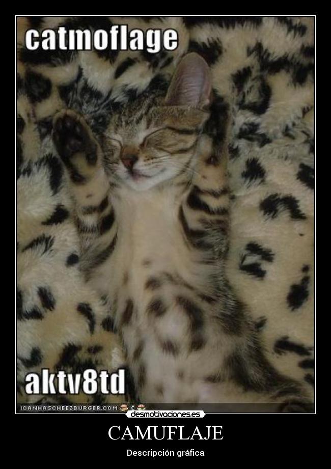 CAMUFLAJE - Descripción gráfica