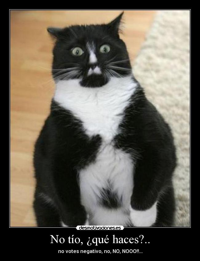 No tío, ¿qué haces?.. -