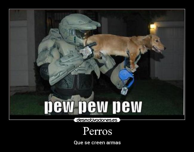 Perros - Que se creen armas