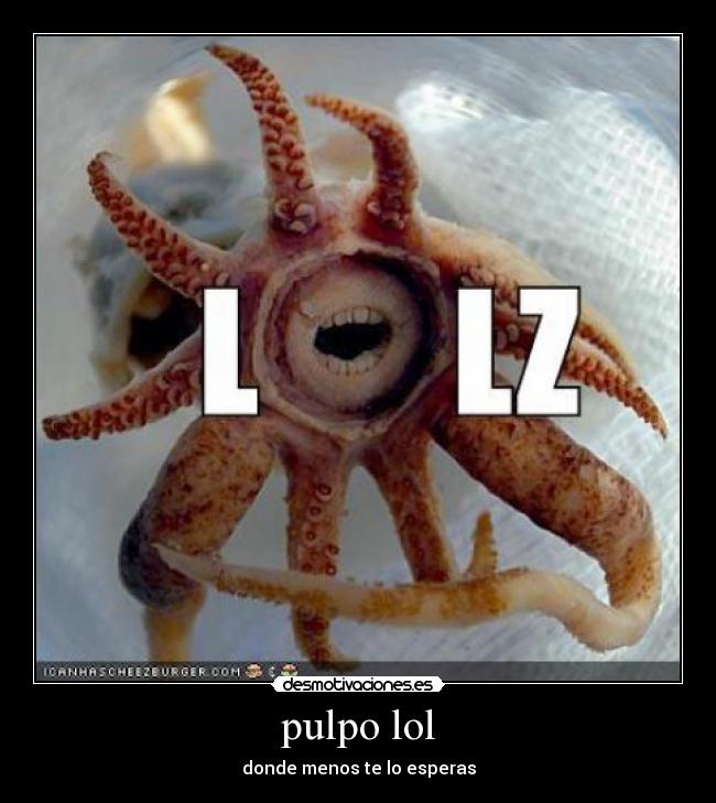 pulpo lol - donde menos te lo esperas