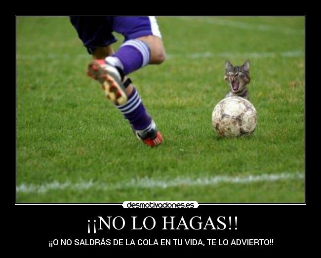 ¡¡NO LO HAGAS!! - ¡¡O NO SALDRÁS DE LA COLA EN TU VIDA, TE LO ADVIERTO!!