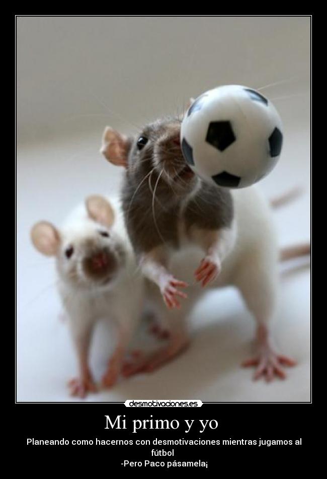 Mi primo y yo  - Planeando como hacernos con desmotivaciones mientras jugamos al fútbol 
-Pero Paco pásamela¡