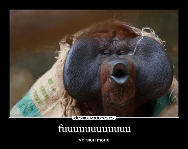 carteles fuuuuuuuuuuu desmotivaciones