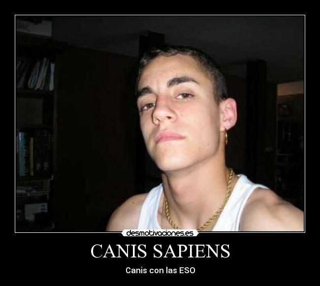 CANIS SAPIENS -