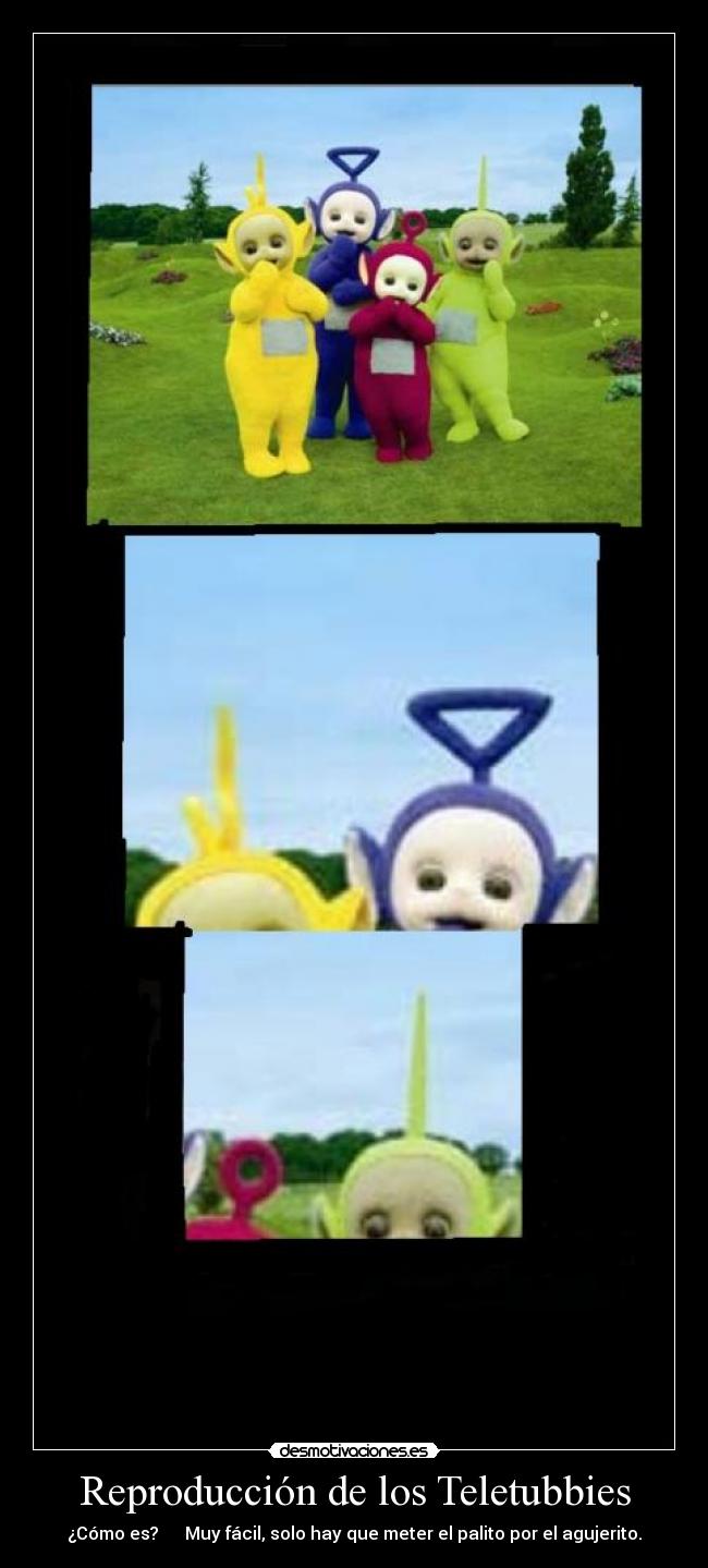Reproducción de los Teletubbies - ¿Cómo es? Muy fácil, solo hay que meter el palito por el agujerito.