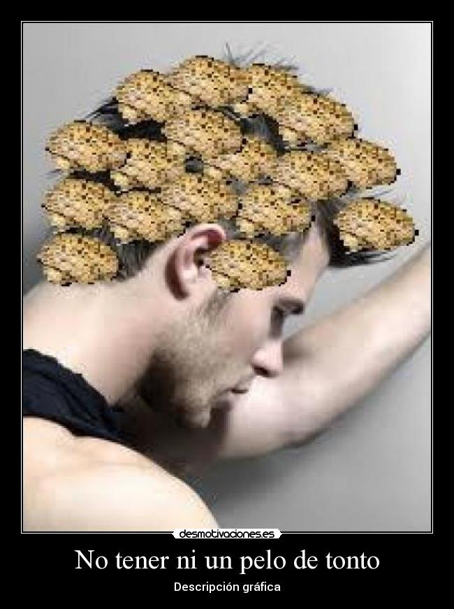 No tener ni un pelo de tonto - Descripción gráfica