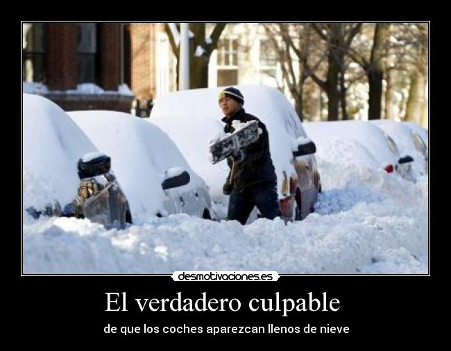 El verdadero culpable  - 