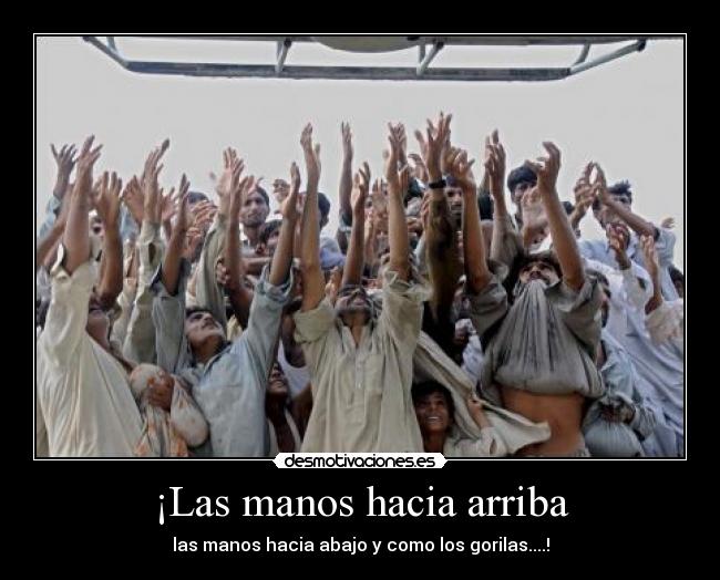 ¡Las manos hacia arriba -