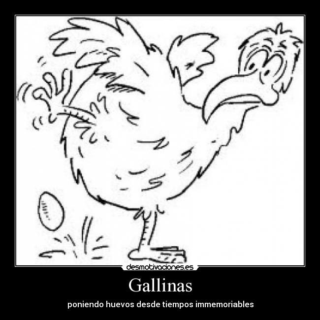 Gallinas - poniendo huevos desde tiempos immemoriables