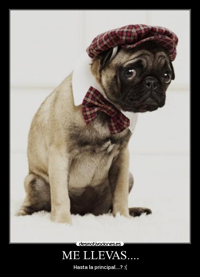 carteles walt_k poker face juanma1008 desmotivaciones