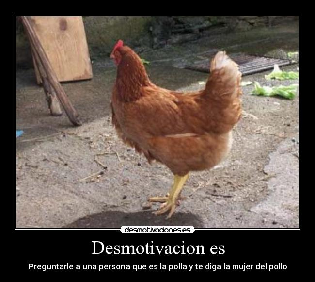 Desmotivacion es - Preguntarle a una persona que es la polla y te diga la mujer del pollo