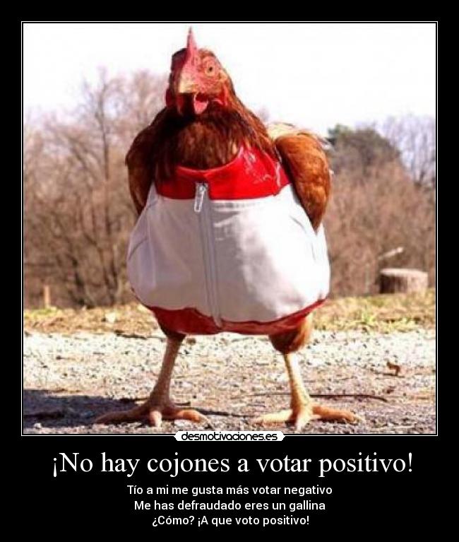 ¡No hay cojones a votar positivo! - Tío a mi me gusta más votar negativo
Me has defraudado eres un gallina
¿Cómo? ¡A que voto positivo!