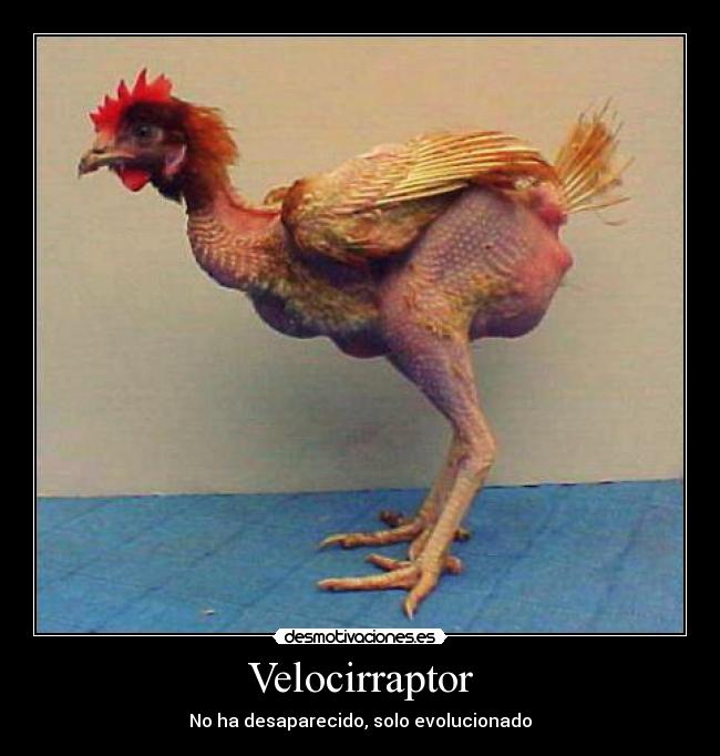 carteles velicirraptor lol jejejejejeje mio desmotivaciones