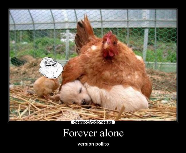 Forever alone - version pollito