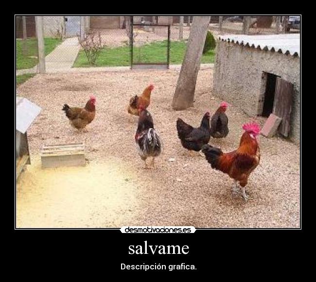 salvame - 