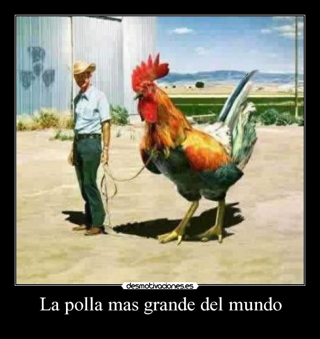 La polla mas grande del mundo -