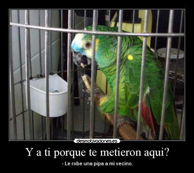 Y a ti porque te metieron aqui? -