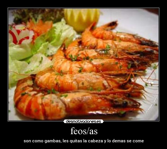 feos/as - son como gambas, les quitas la cabeza y lo demas se come