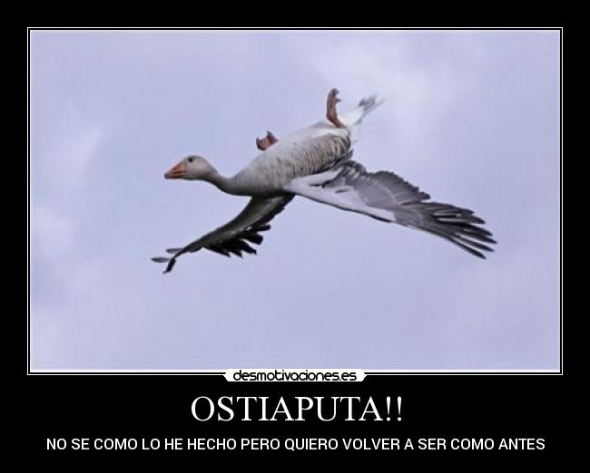 OSTIAPUTA!! - NO SE COMO LO HE HECHO PERO QUIERO VOLVER A SER COMO ANTES