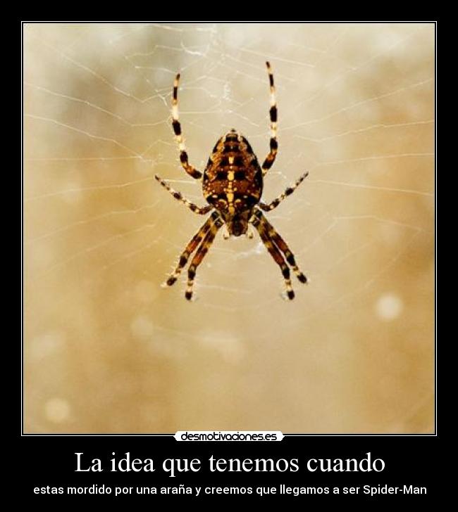 La idea que tenemos cuando - 