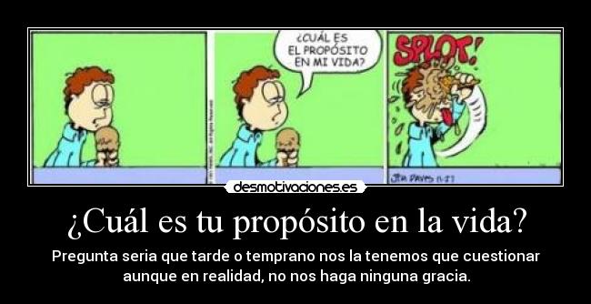 carteles vida proposito vida desmotivaciones dolor desmotivaciones