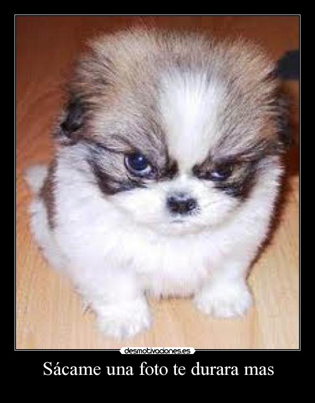 Sácame una foto te durara mas -