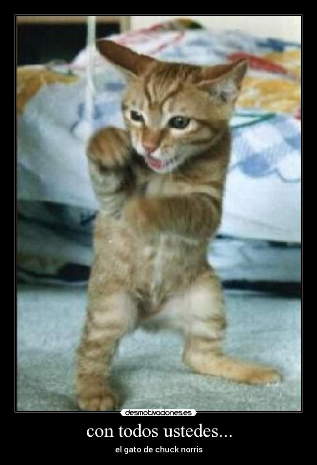 con todos ustedes... -