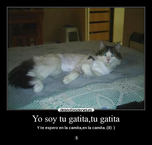 Yo soy tu gatita,tu gatita - Y te espero en la camita,en la camita..(8) :)

:$