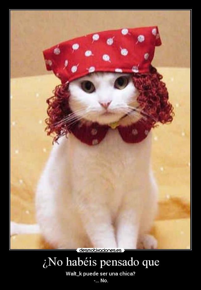 ¿No habéis pensado que -