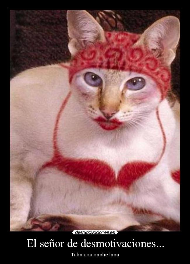 El señor de desmotivaciones... -