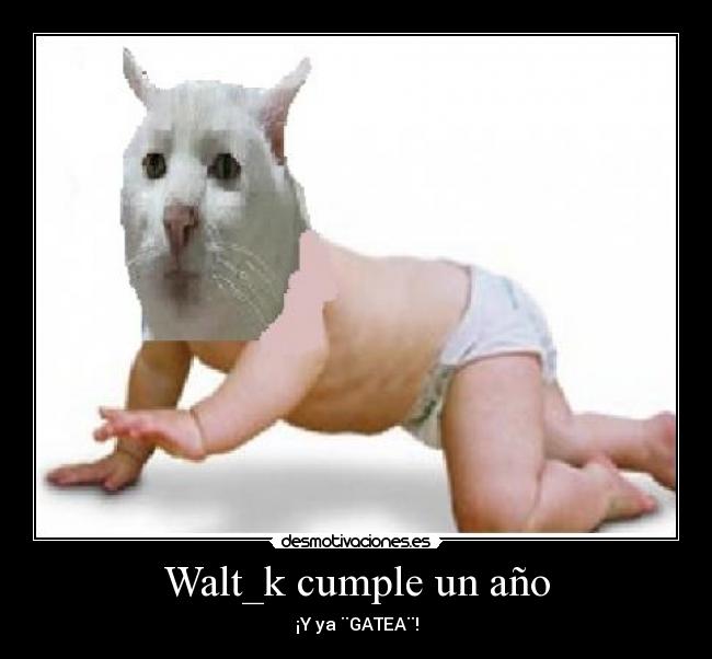Walt_k cumple un año -