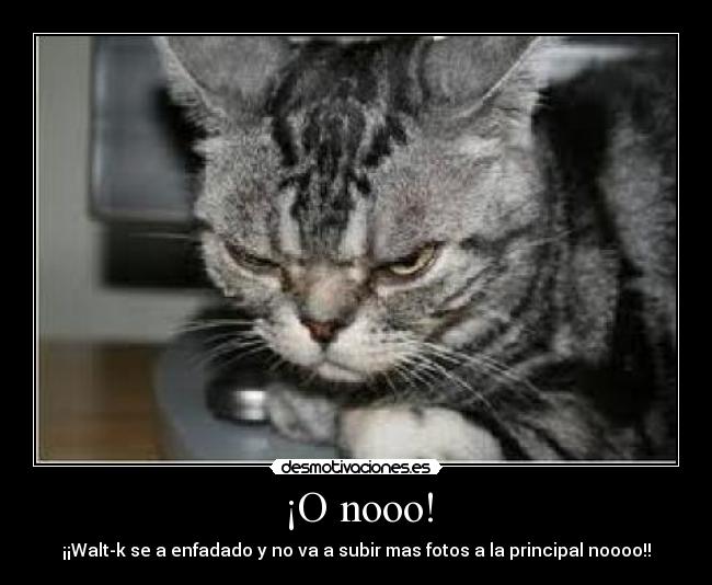 ¡O nooo! -
