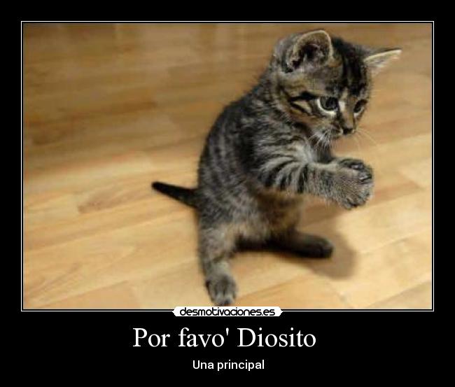 carteles por favor diosito desmotivaciones