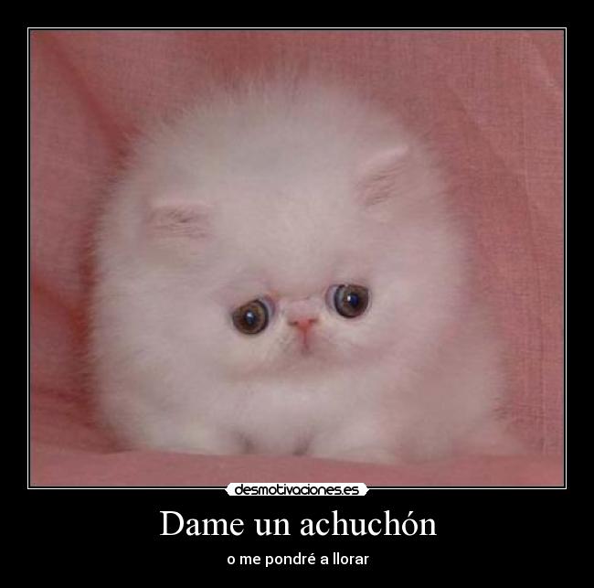 Dame un achuchón - 
