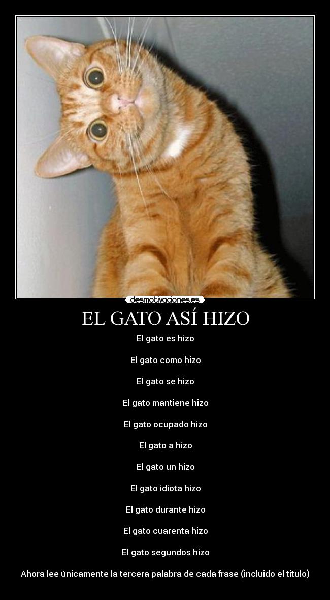 EL GATO ASÍ HIZO - 