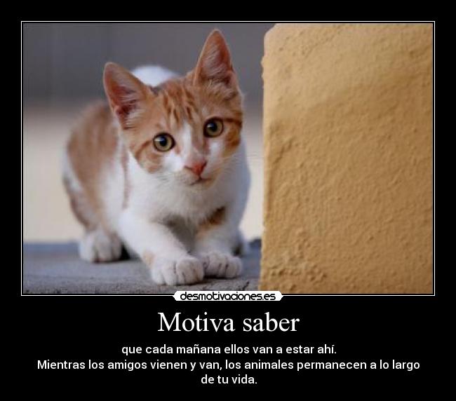 Motiva saber - 