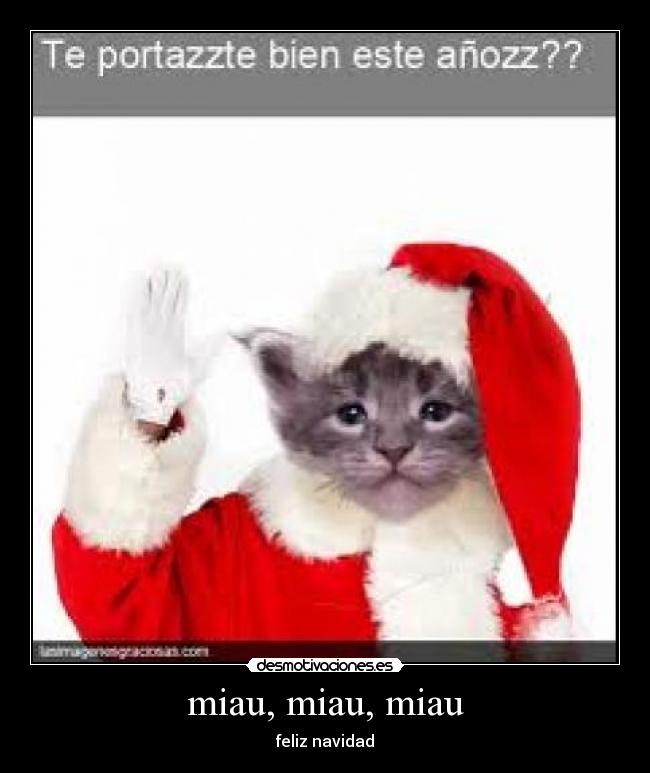 miau, miau, miau - feliz navidad