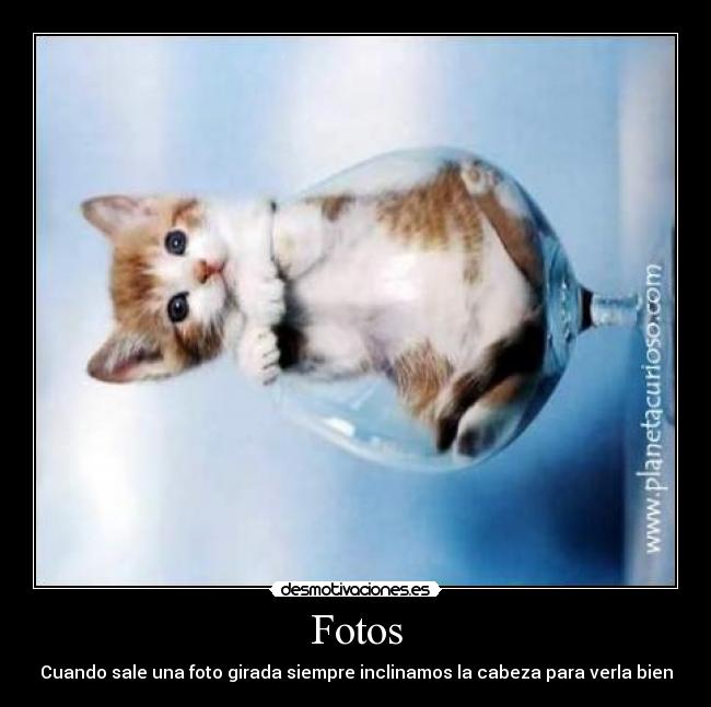 Fotos - Cuando sale una foto girada siempre inclinamos la cabeza para verla bien